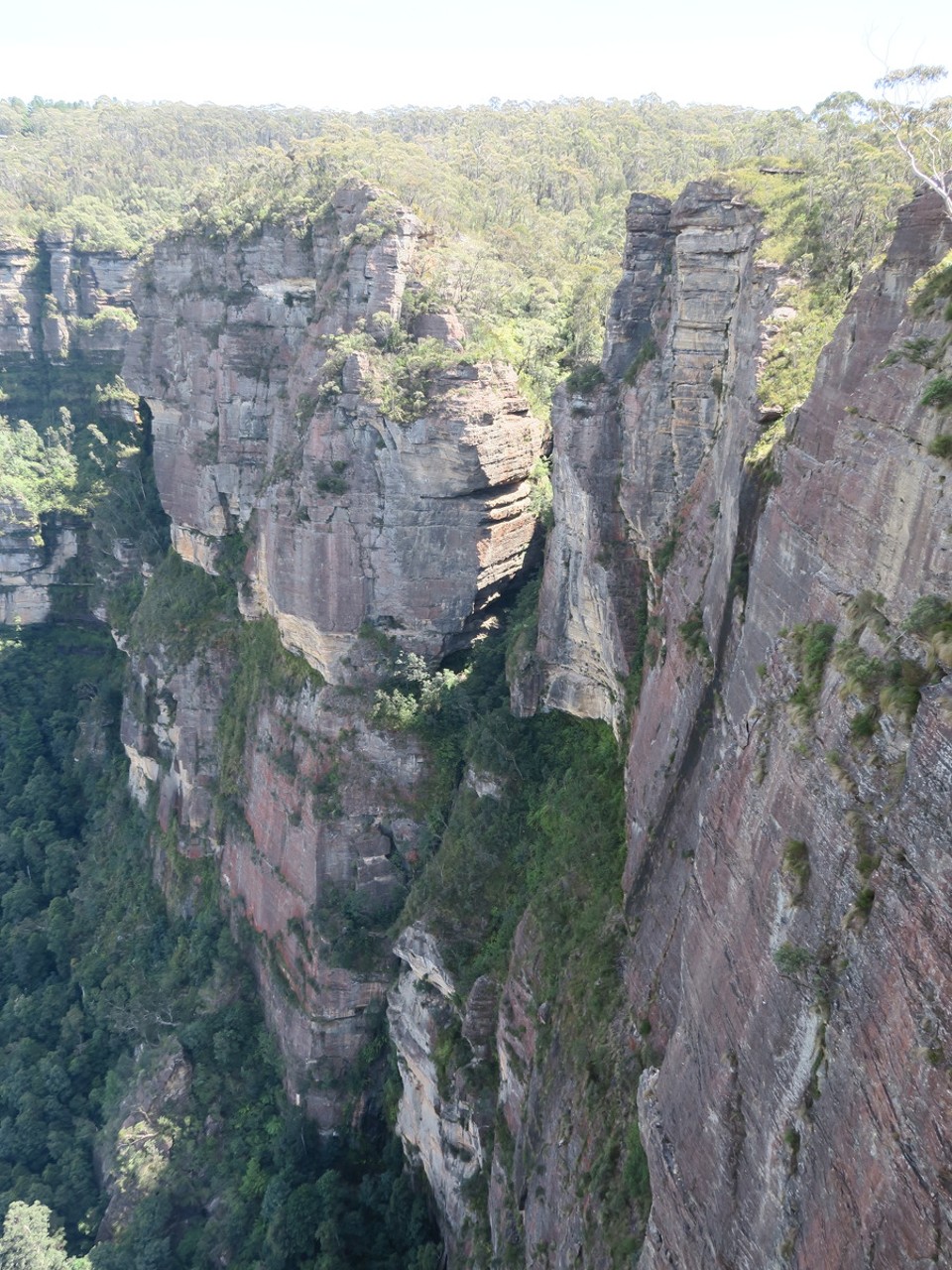 Australia - Blue Mountains National Park - 