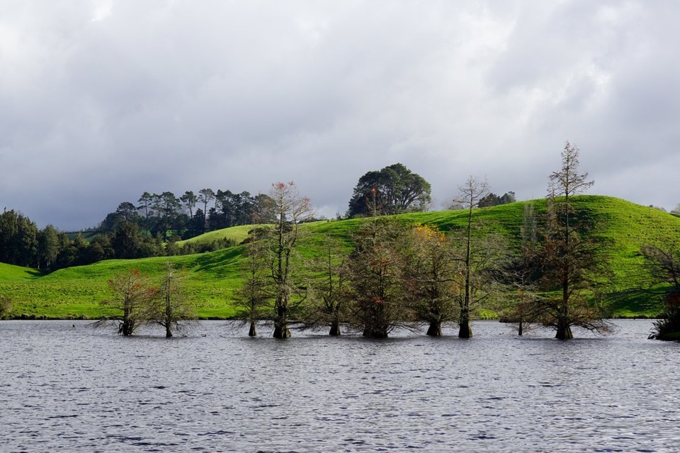 Neuseeland - Tauranga - 