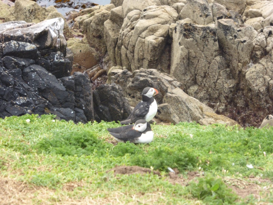 Ireland - Kilmore Quay - 