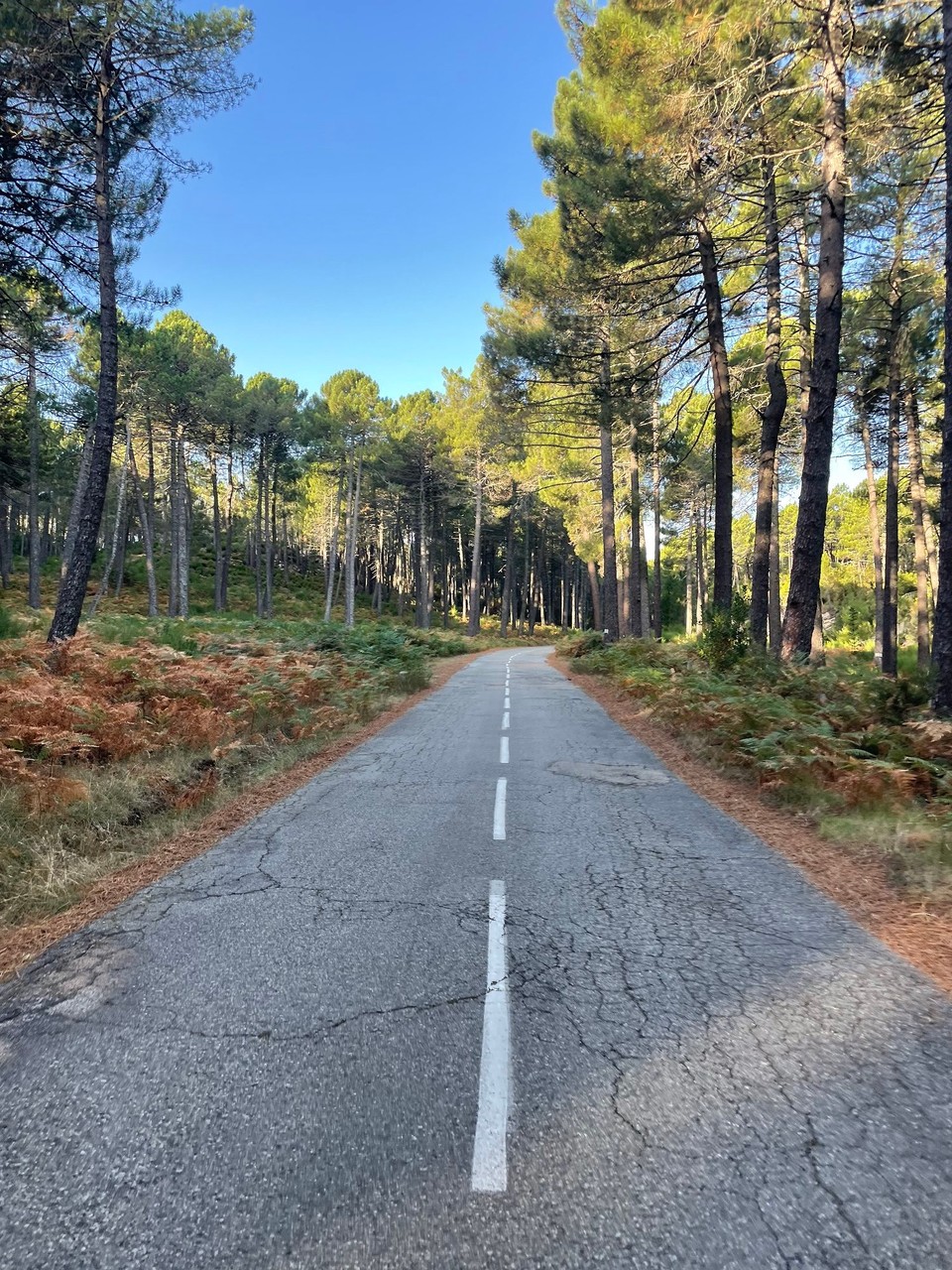 Frankreich - San-Gavino-di-Carbini - 