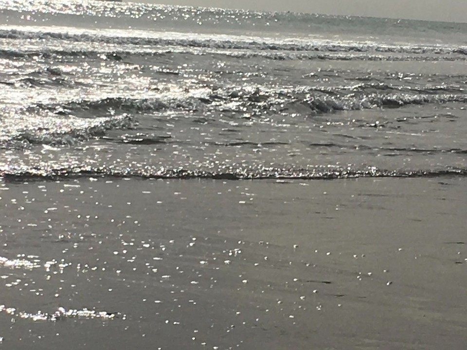 Neuseeland - Papamoa - Am Strand von Papamoa