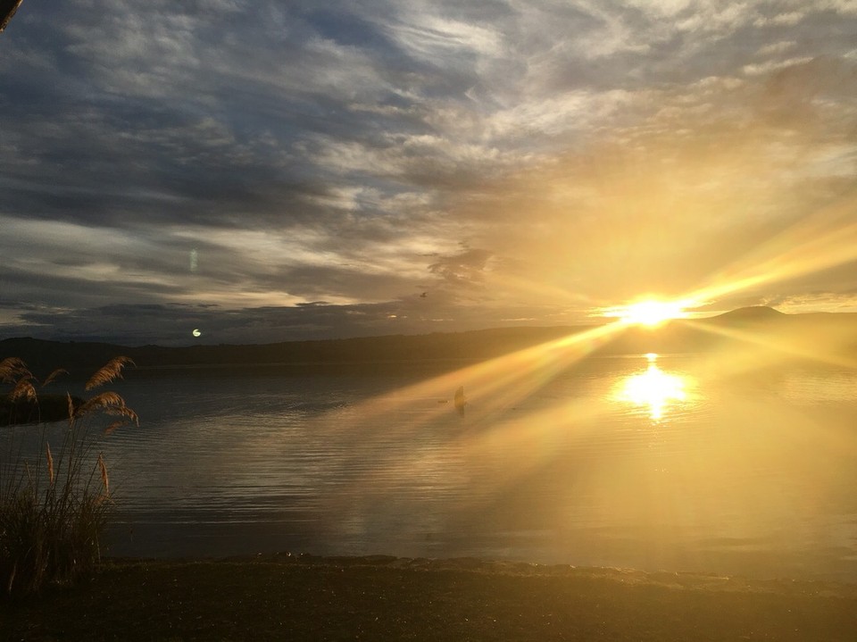 New Zealand - Dunedin - 