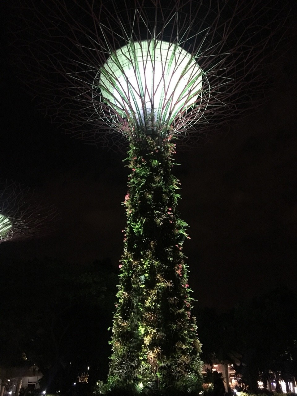 Singapur - Marina - 