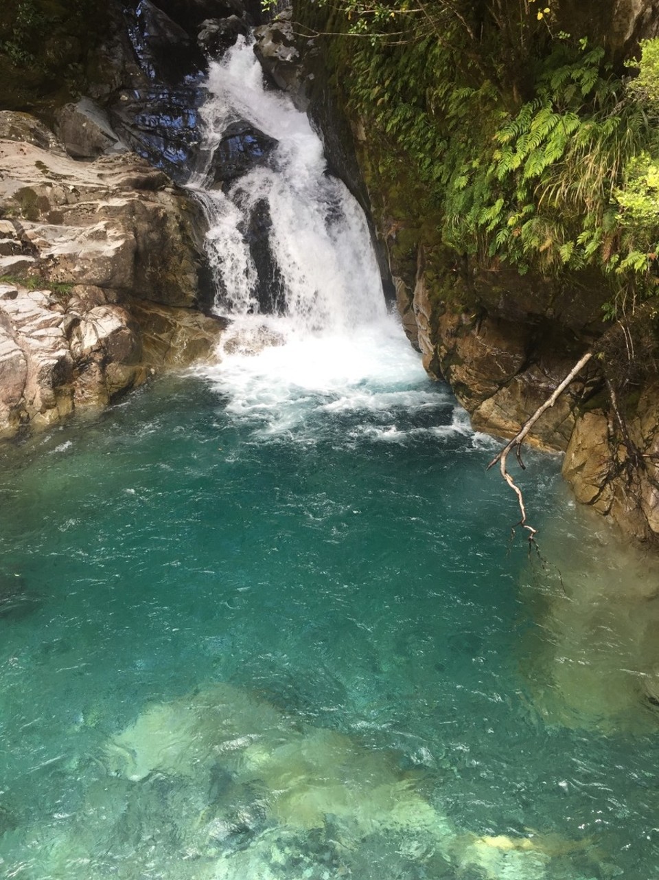 Neuseeland - Falls Creek - 