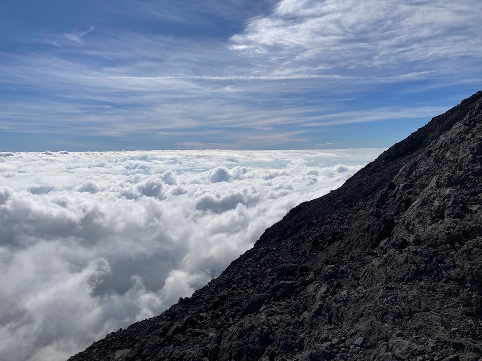 Neuseeland - Egmont National Park - 