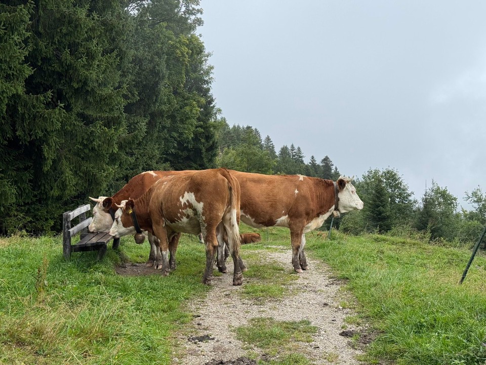 Deutschland - Garmisch-Partenkirchen - 