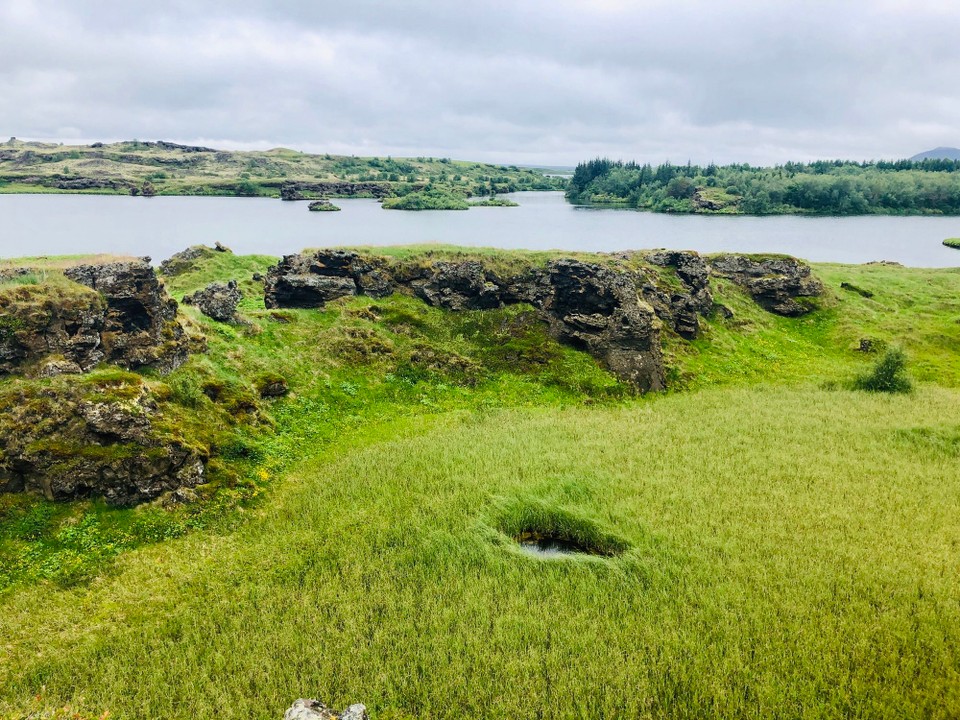 Island - Skútustaðahreppur - Schön 🥰