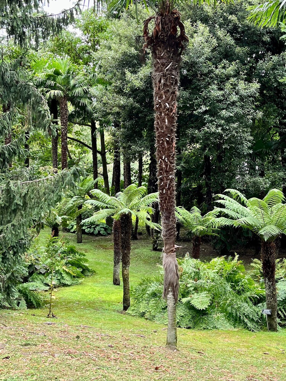 Italien - Verbania - 