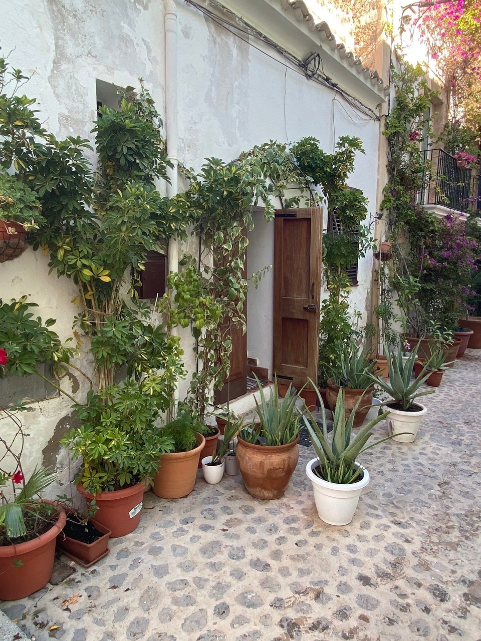 Spanien - Ibiza - 