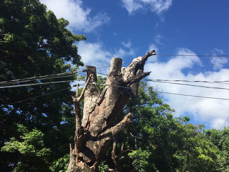 Nicaragua - Altagracia - 