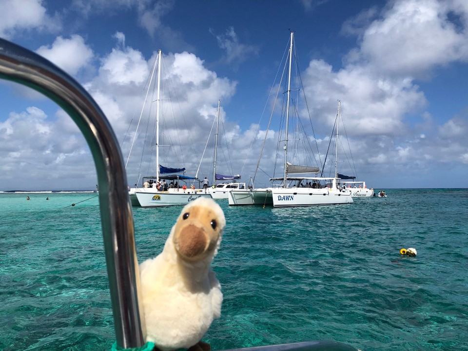 Mauritius -  - Doretta ist begeistert