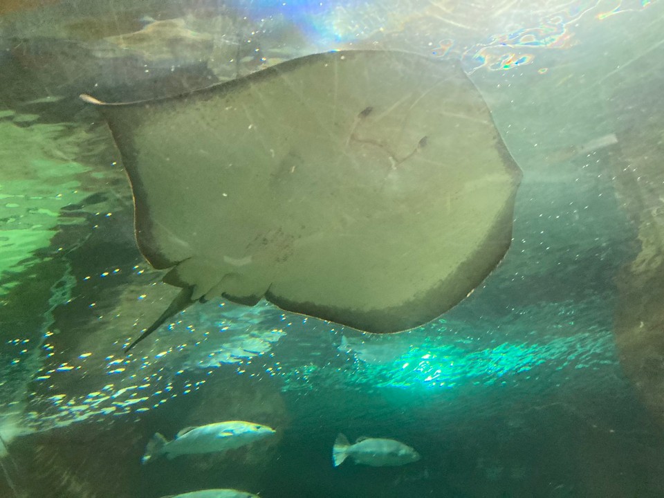 Neuseeland - Napier - 