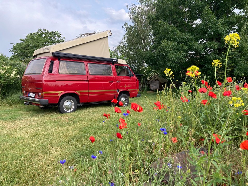 Deutschland - Trebsen/Mulde - Stellplatz am Morgen