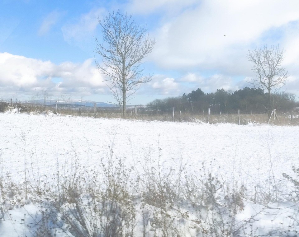 Frankreich - Banassac-Canilhac - Winter am 29. 11.