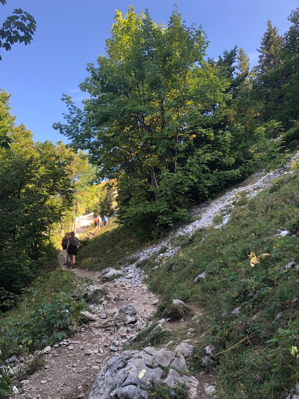 Frankreich - Le Sappey-en-Chartreuse - 