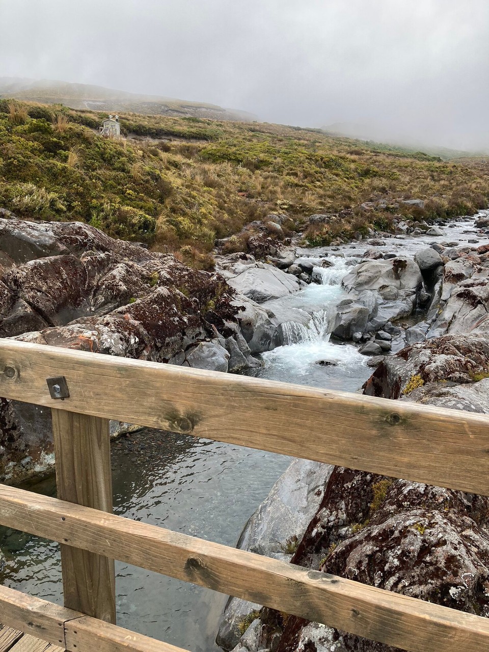 Neuseeland - Tongariro National Park - 
