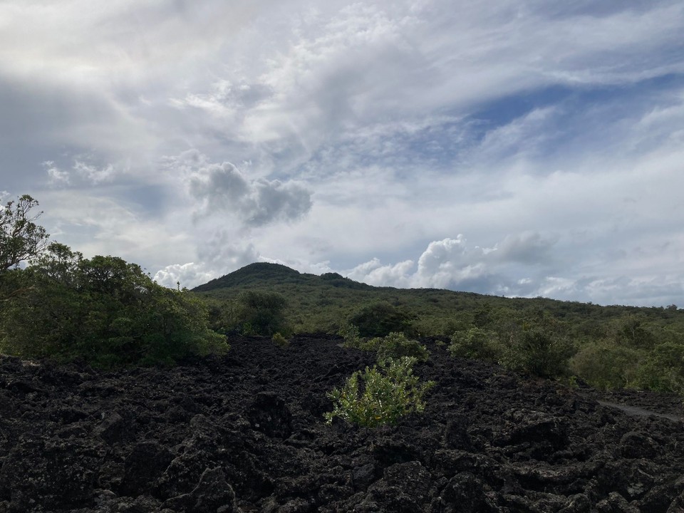 Neuseeland - Waitemata and Gulf Ward - 