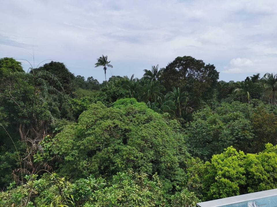 Singapur - Singapur - 