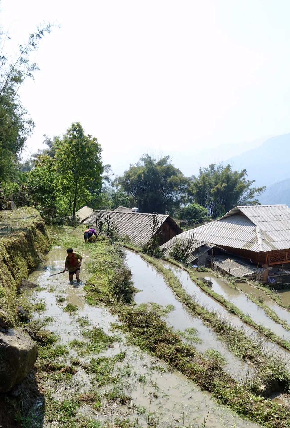 Vietnam - H. Sa Pa - 