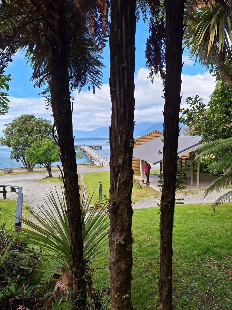 Neuseeland - Jackson Bay - 