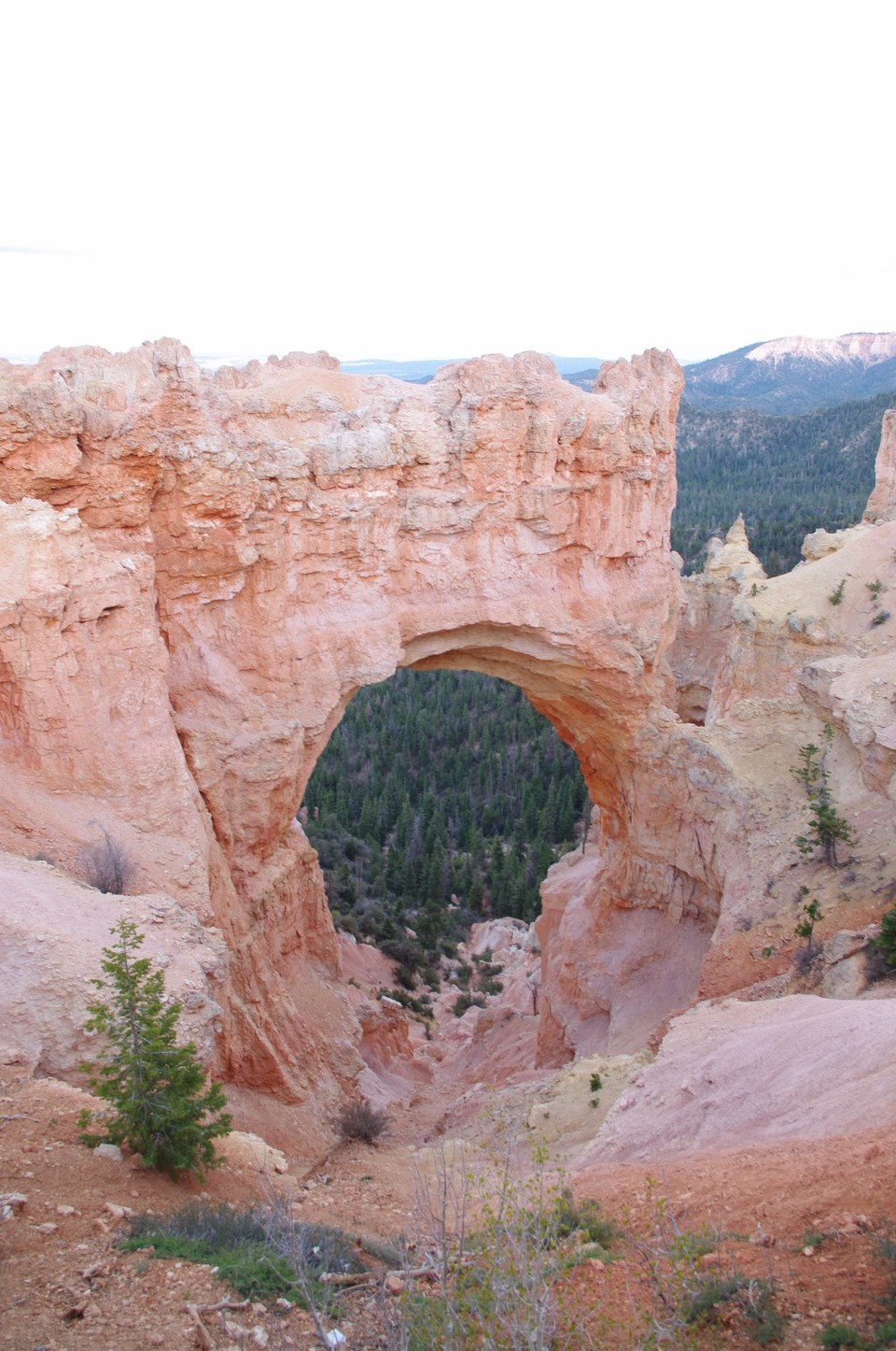 USA - Bryce-Canyon-Nationalpark - 