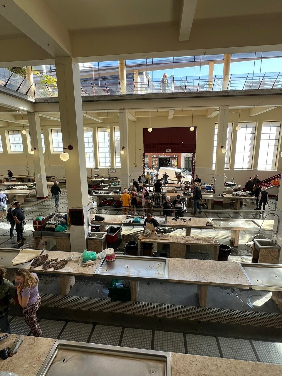 Portugal - Funchal - Die Fischhalle in der Markthalle 