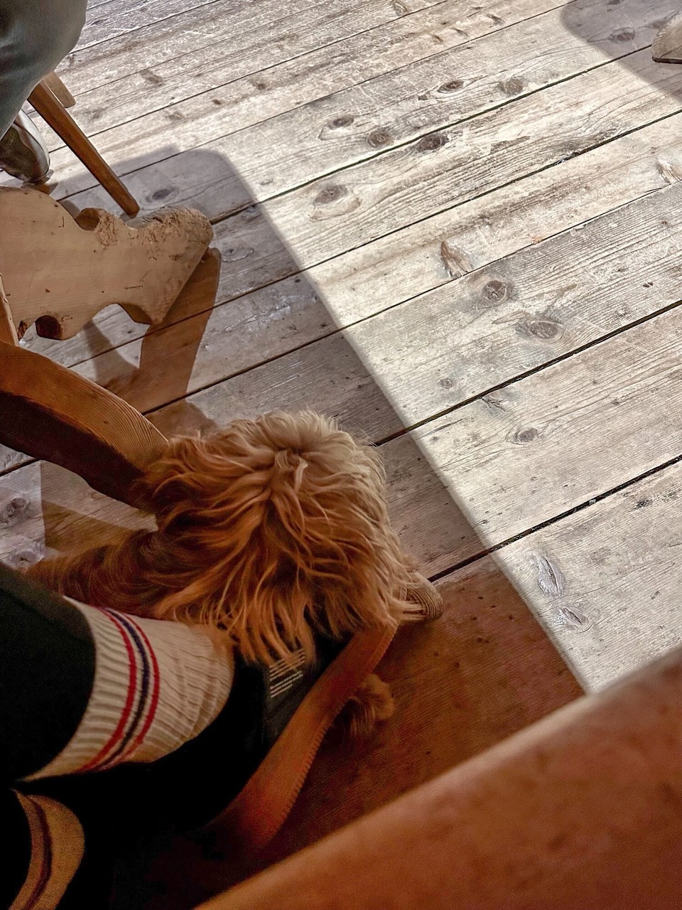 Österreich - Seefeld - 