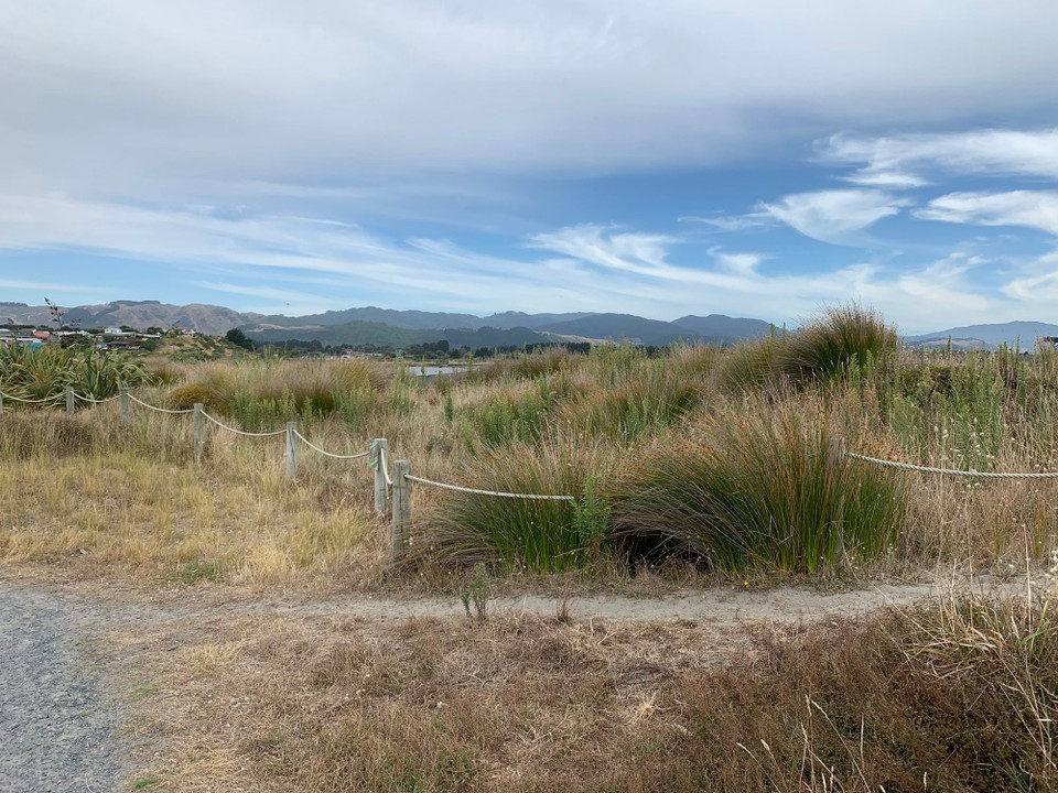 Neuseeland - Waikanae Beach - 