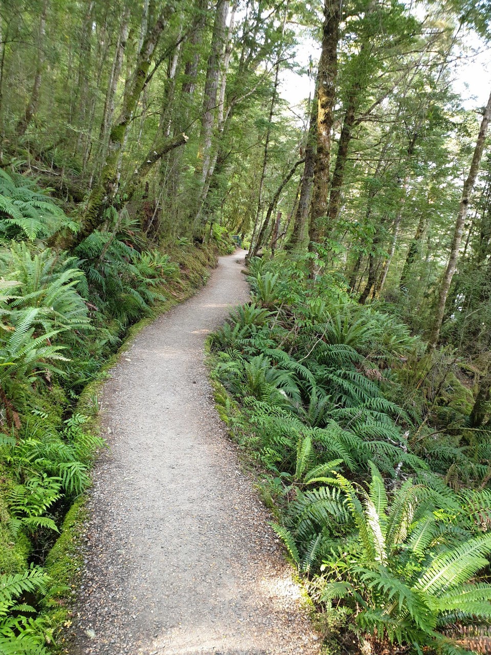 Neuseeland - unbekannt - 