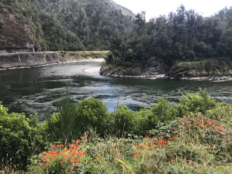 Neuseeland - Westport - Am Buller River