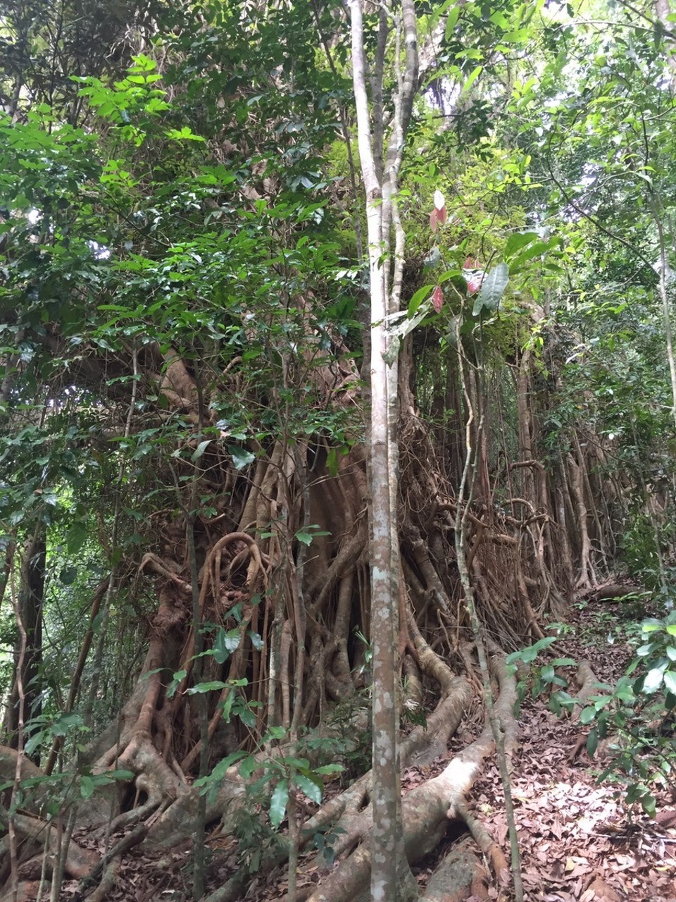  - Australia, Crater Lakes National Park - 