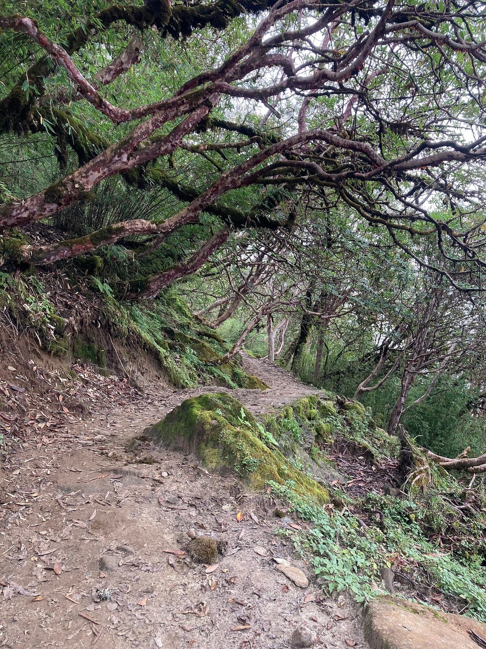 Nepal -  - Weiter Abwärts 🙃