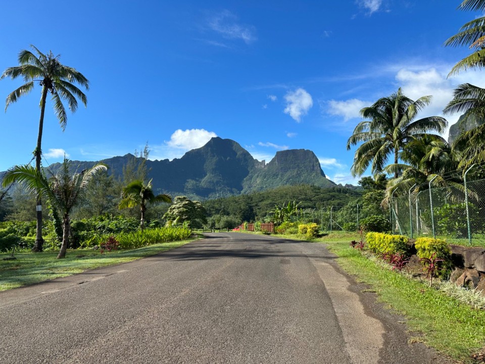 Französisch-Polynesien - Moorea-Maiao - Morgens um 8 auf dem Weg in die Berge