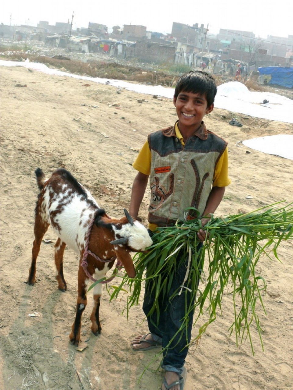 India - New Delhi - 