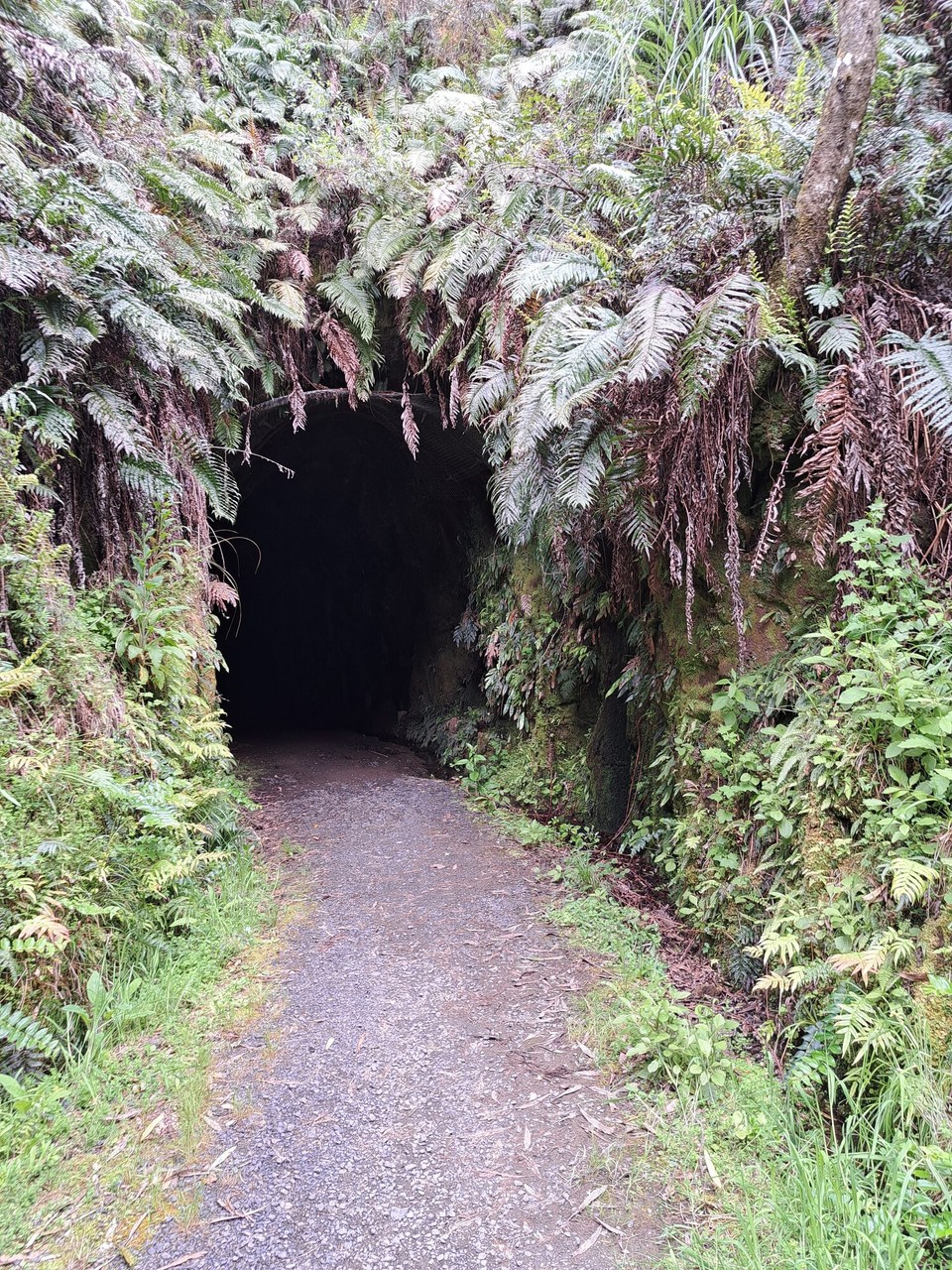 Neuseeland - Taumarunui - Durch ein Kehrtunel 