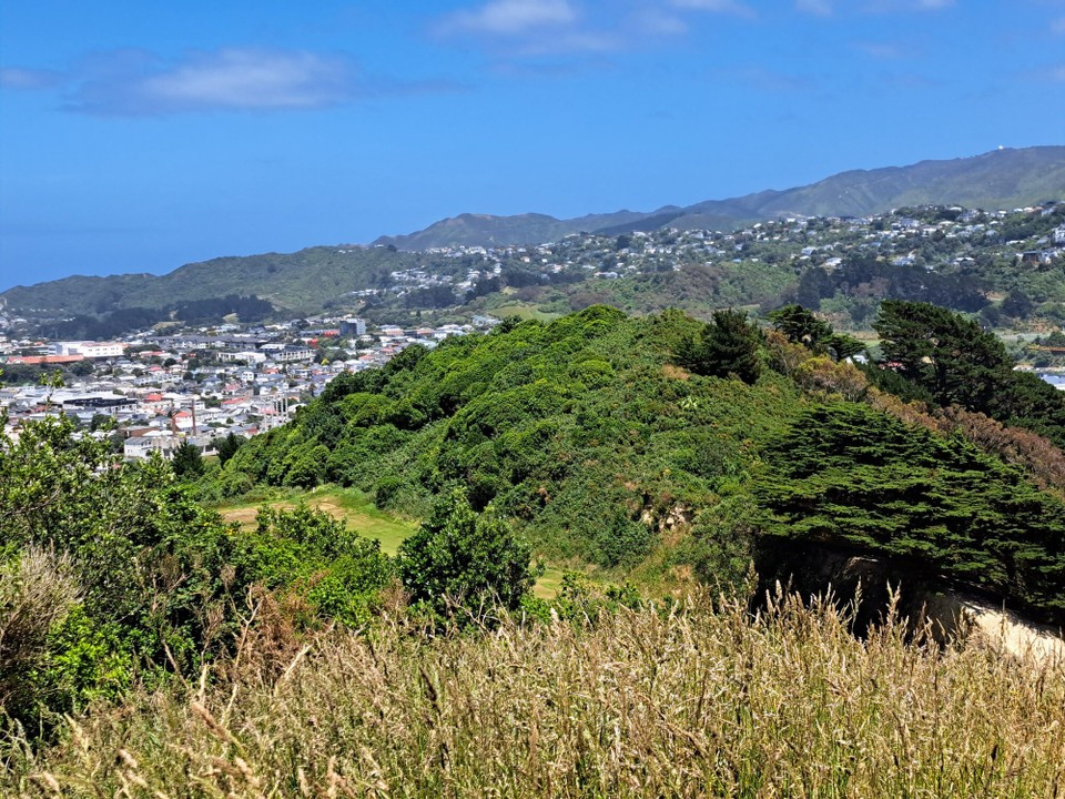 Neuseeland - Princess Beach - 