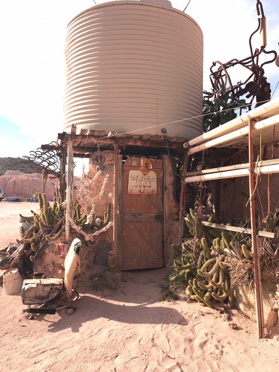 Australia - Coober Pedy - His shitatorium!