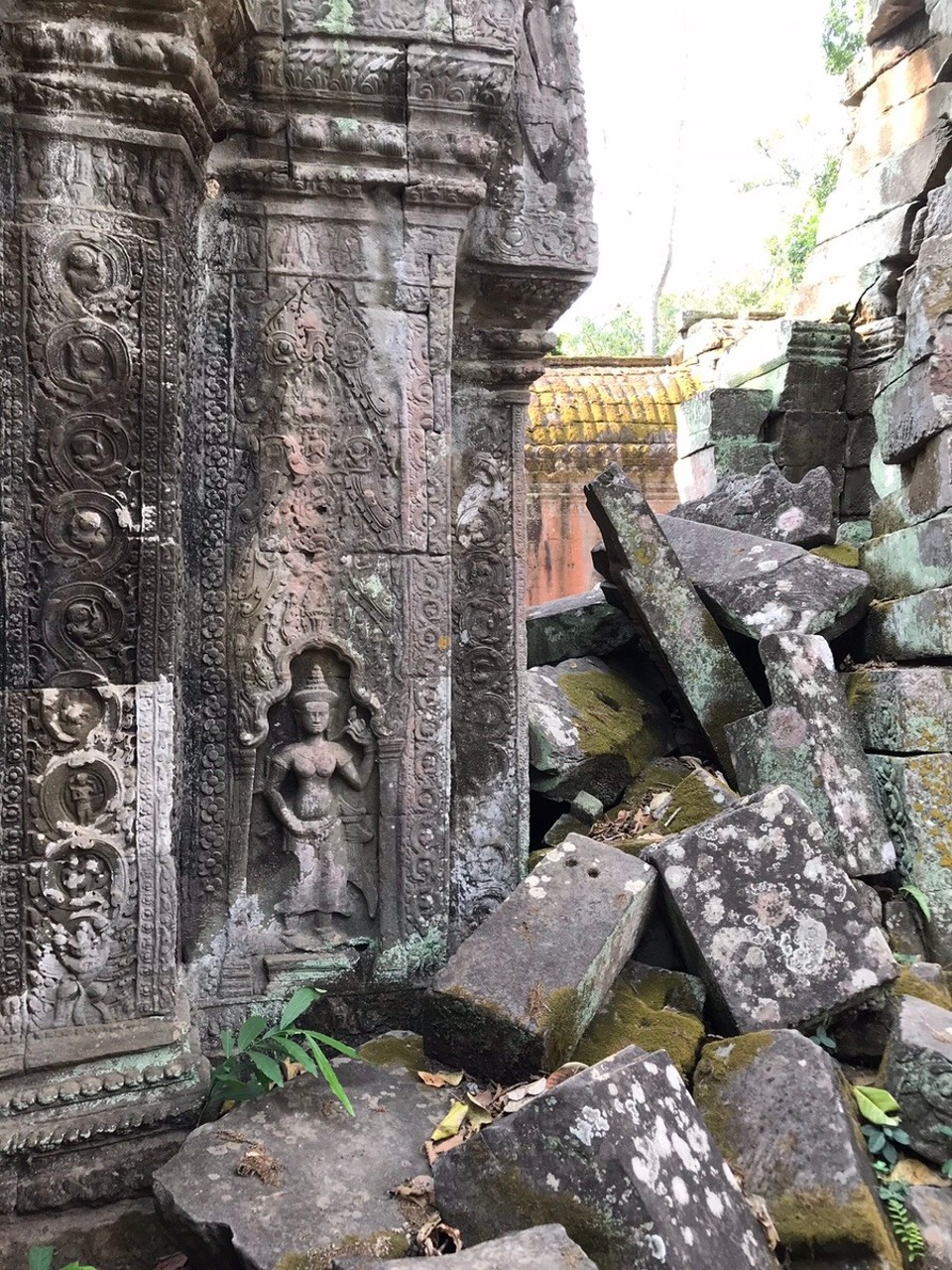 Cambodia -  - Ta Prohm (aka Tomb Raider Monument)