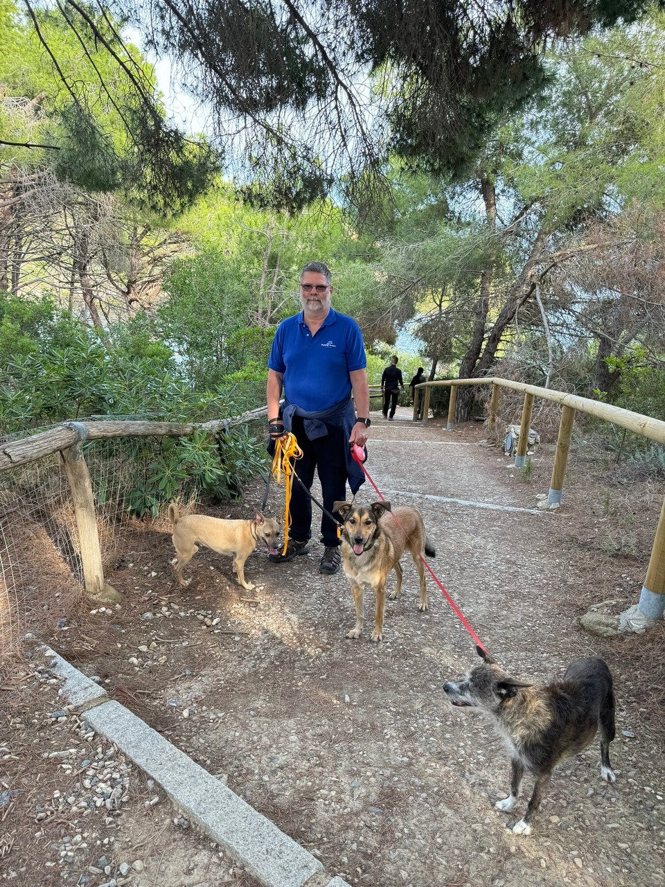 Italien - Capoliveri - Die Hunde finden‘s auch toll