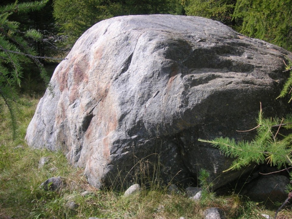Schweiz - Pontresina/Engadin - Kopf eines Plateosaurus! Zeuge der Vergangenheit!