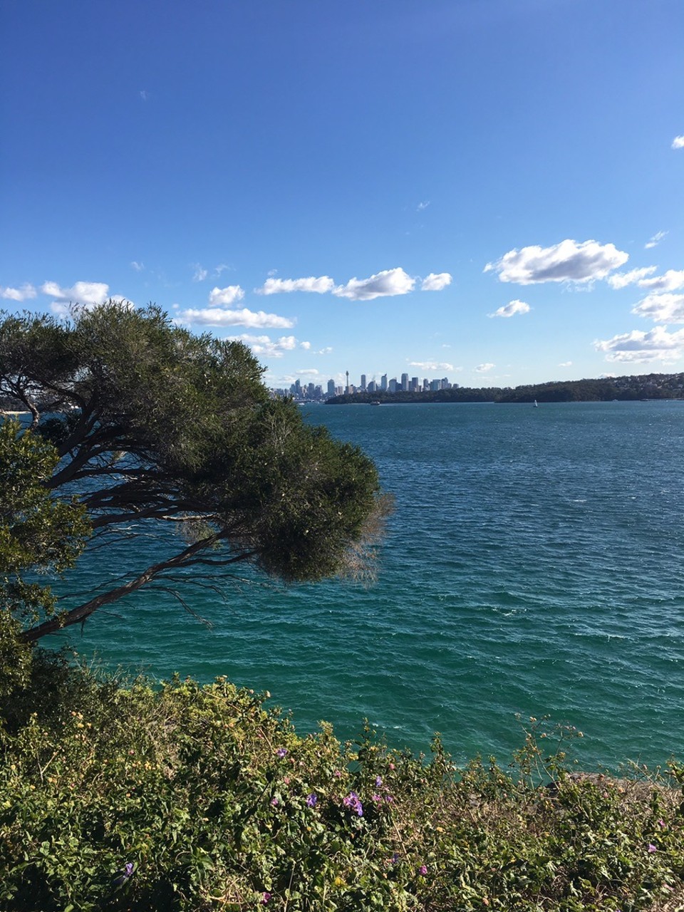 Ausztrália - Watsons Bay - 