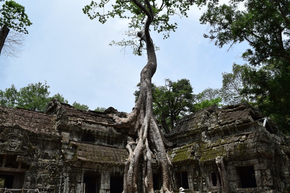 Cambodia -  - 