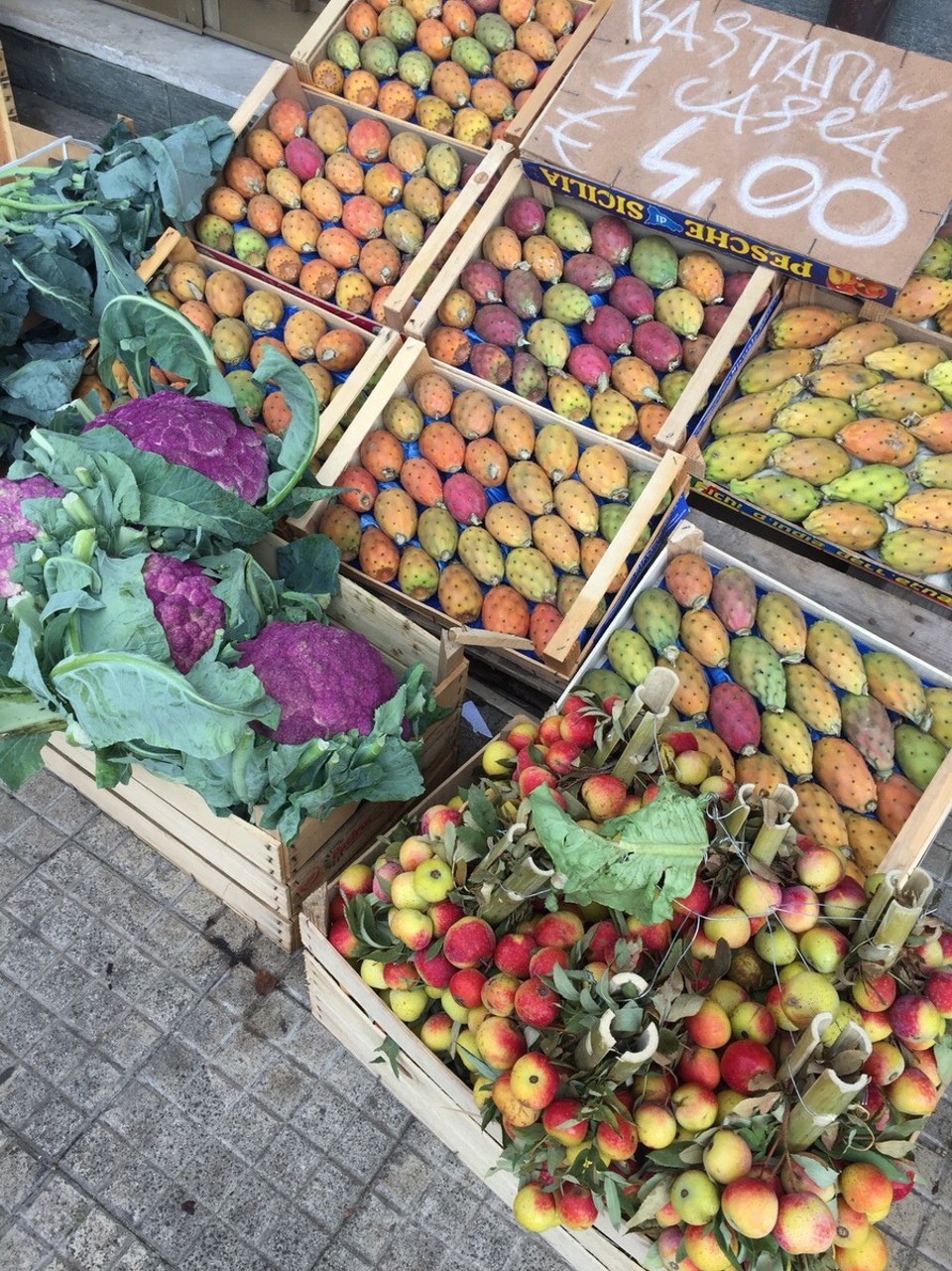 Italien - Ätna - Ernte-Zeit an den Hängen des Ätna - diese Farben!