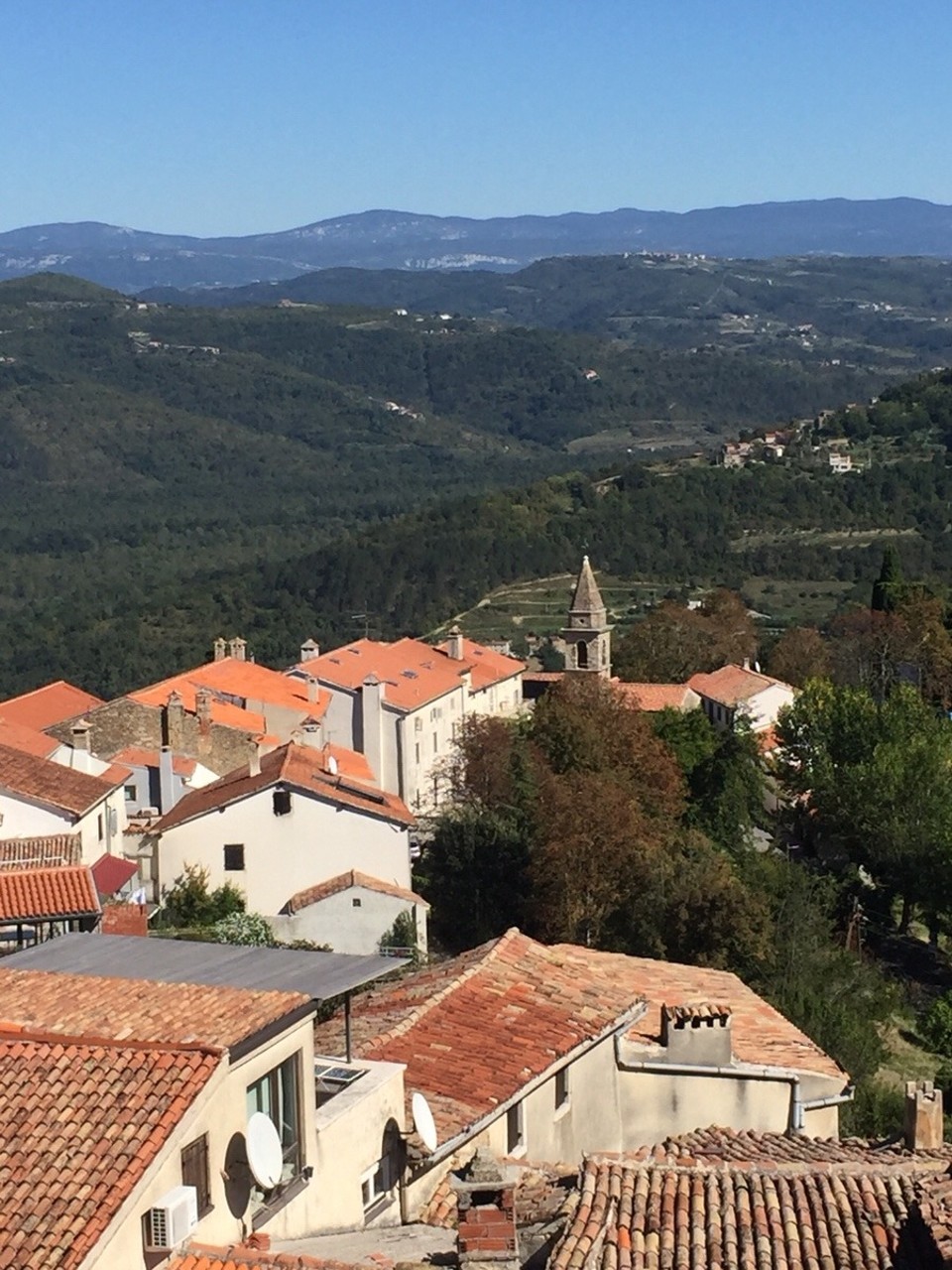Kroatien - Motovun - 