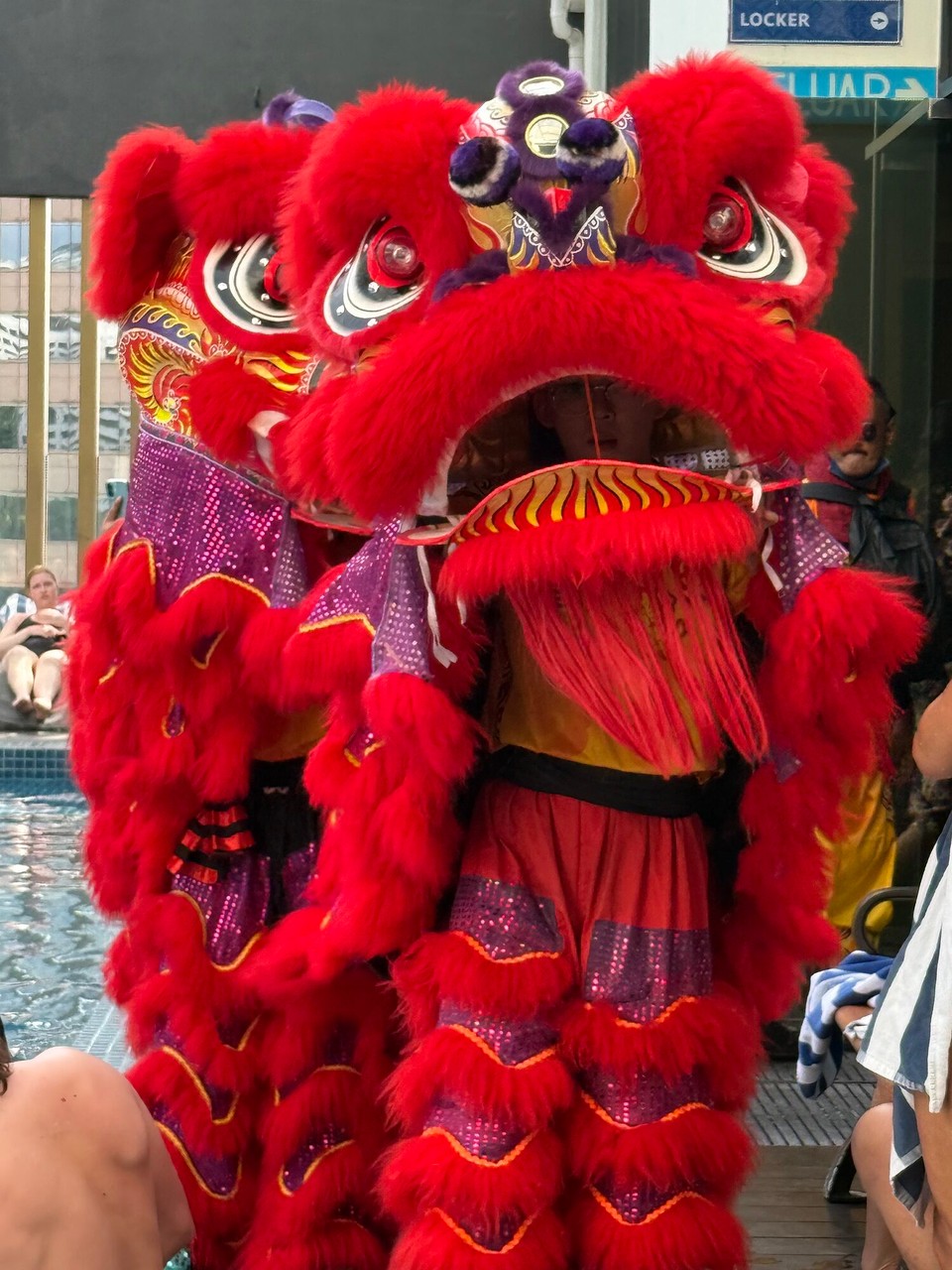 Malaysia - Kuala Lumpur - Große Aufregung am Hotelpool. Erst knallte es auf der Straße und dann kamen 2 Drachen aufs Dach.
