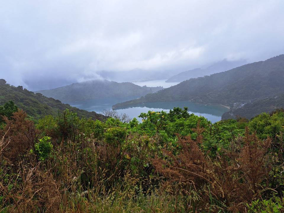 Neuseeland - Havelock - 