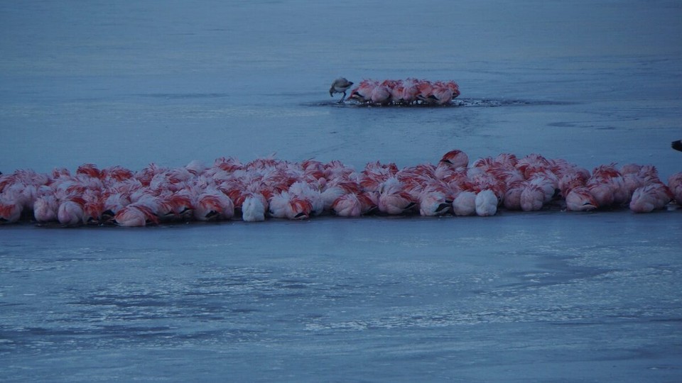 Chile - San Pedro de Atacama - Die Gemeinde schläft noch auf dem gefrorenen See