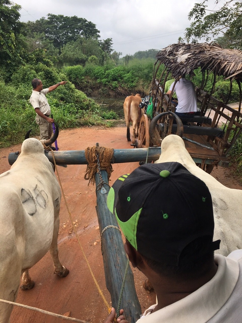 Sri Lanka -  - 