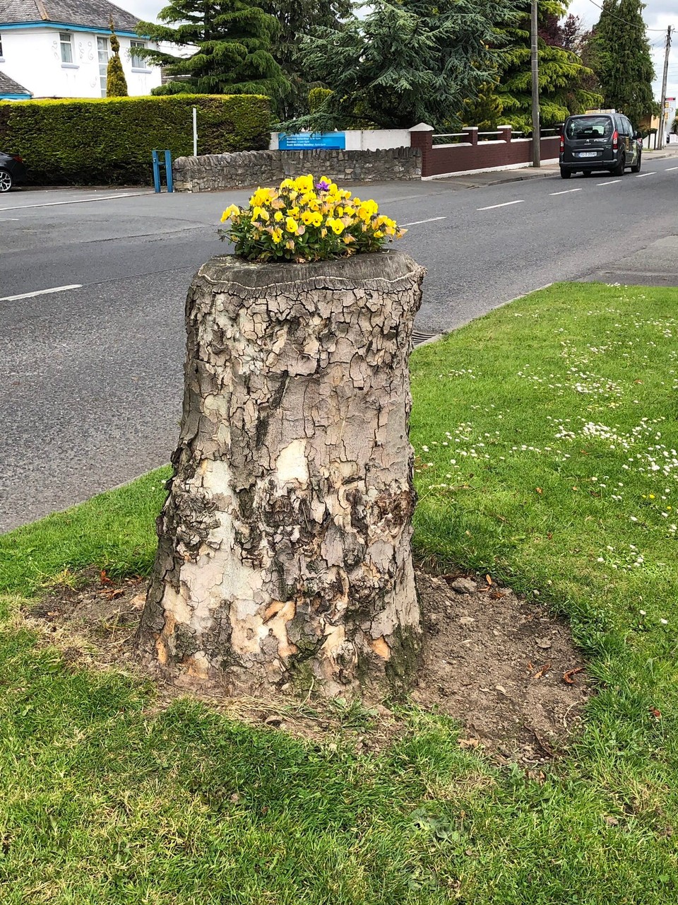 Irland - Tallaght - 