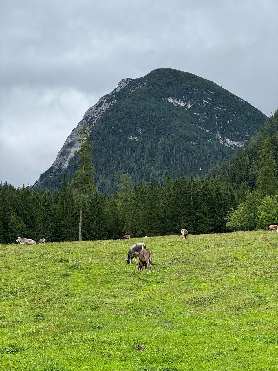 Österreich - Innsbruck - 